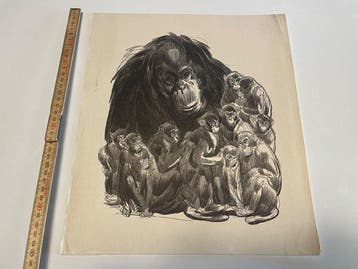 Paul Jouve (1878-1973) - Singe et ses petits - Paradis
