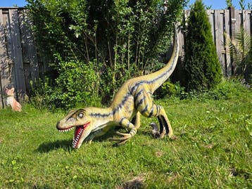 Beeld, XL Realistic Velociraptor Dinosaur - 98 cm - mgo -