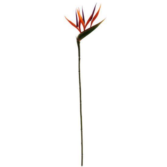 Strelitia Paradijsvogelbloem Oranje 66 cm per stuk, Maison & Meubles, Accessoires pour la Maison | Plantes & Fleurs artificielles