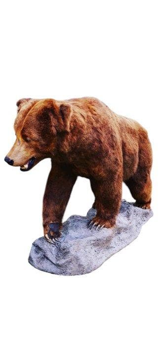 onze kodiack Taxidermie volledige montage - URSUS ARCTOS
