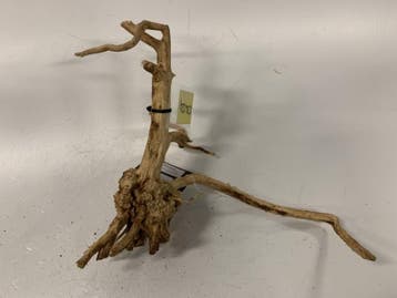 Driftwood Selected DW24 - 39x34x16cm (Small drift wood), Ophalen of Verzenden, Nieuw, Plant(en), Steen of Hout