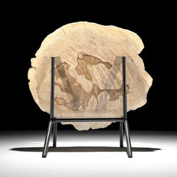 Magnifique tranche de bois pétrifié sur un socle