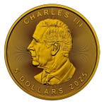 Canada. 5 Dollars 2025 1 oz Maple Real Leaf Canada Flag 24k