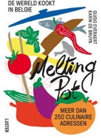 Melting pot 9789460581489 Guido Everaert, Verzenden, Guido Everaert