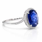 Zonder minimumprijs - Ring Platina - 2.78ct. tw. Saffier -, Handtassen en Accessoires, Ringen, Nieuw