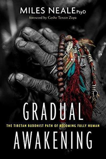 Gradual Awakening - Miles Neale - 9781683642091 - Paperback, Verzenden