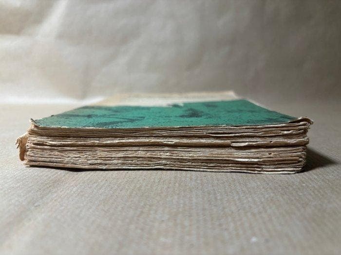 Robert Walser - Geschwister Tanner - 1907-1907, Antiek en Kunst, Antiek | Boeken en Manuscripten