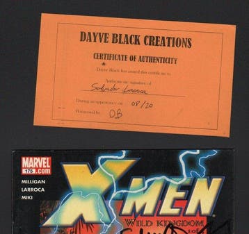 Salvador Larroca - 1 Original drawing - X-Men - X-Men #175, Nieuw