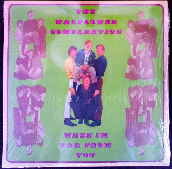 The Walflower Complexion - Diverse artiesten - The Walflower, CD & DVD, Vinyles Singles