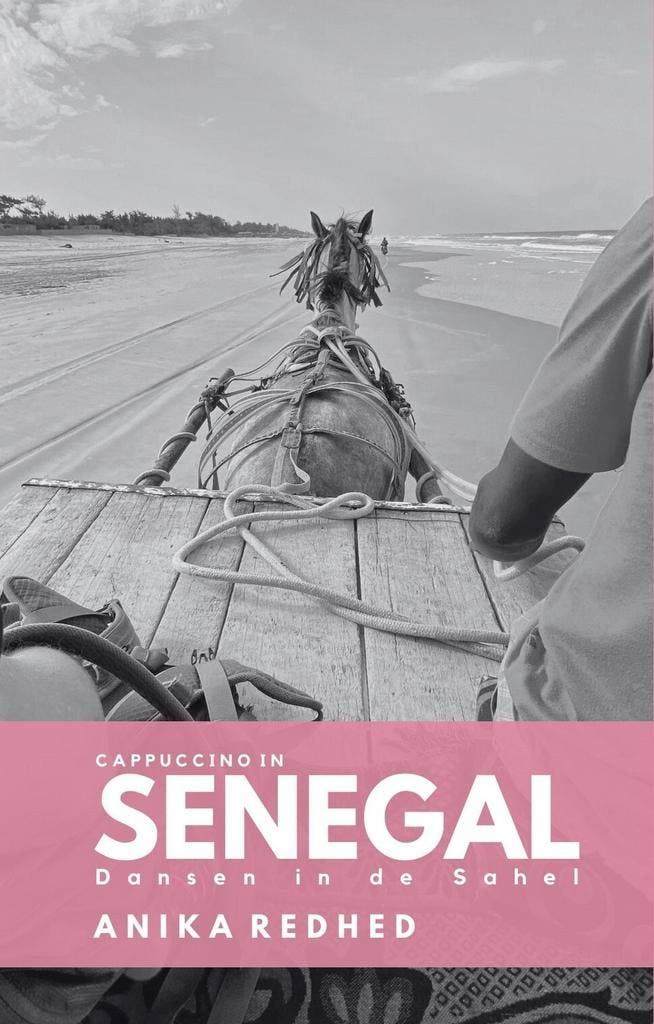 Cappuccino in Senegal 9789493263413 Anika Redhed, Boeken, Reisverhalen, Gelezen, Verzenden