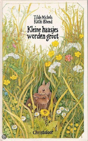KLEINE HAASJES WORDEN GROOT 9789062383184 T. Michels, Verzenden, T. Michels