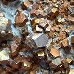 UNICO, 200 + Gouden piraten pentagonododecaëdrische dubbele,