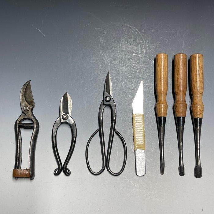 Bonsai Tree Care and Maintenance Flower Arrangement | Plant, Antiquités & Art, Antiquités | Assiettes décoratives & Carrelages