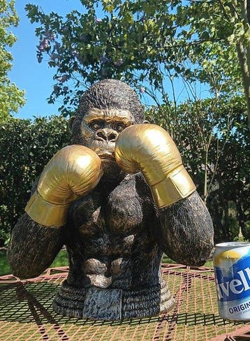 Statue, aparte gorilla met bokshandschoenen - 42 cm - résine