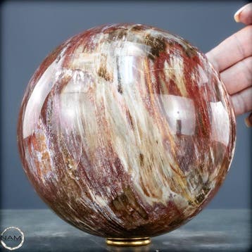 Natuurlijk versteend hout als bol – Intense nerf met