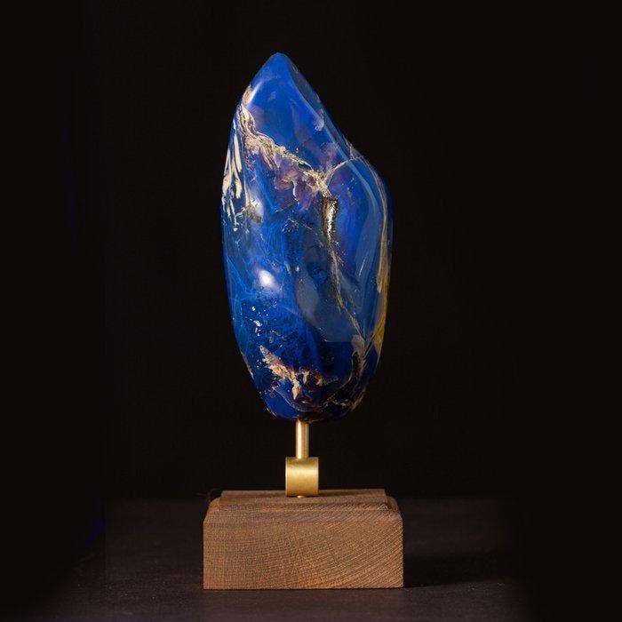 Fossiel barnsteenexemplaar uit Sumatra - Zeldzaam exemplaar, Verzamelen, Mineralen en Fossielen