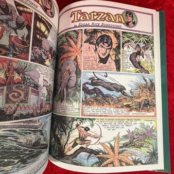 Tarzan (Tarzan van de apen) 17 - Tarzan in Color 17