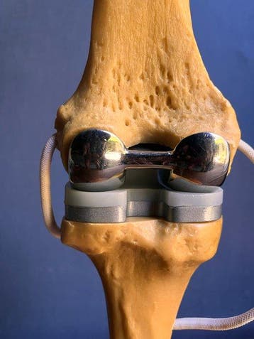 Anatomisch model - kunststof - 1960-1970 - DePuy P.F.C. Knee