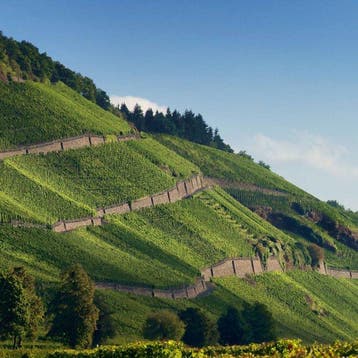 2006 Fritz Haag, Brauneberger Juffer Riesling - Moezel, Nieuw