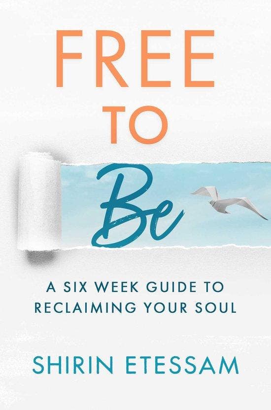 Free to Be 9781637585467 Shirin Etessam, Livres, Langue | Anglais, Envoi