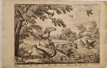 Francis Barlow (c. 1626 – 1704) - Francis Place (1647 –