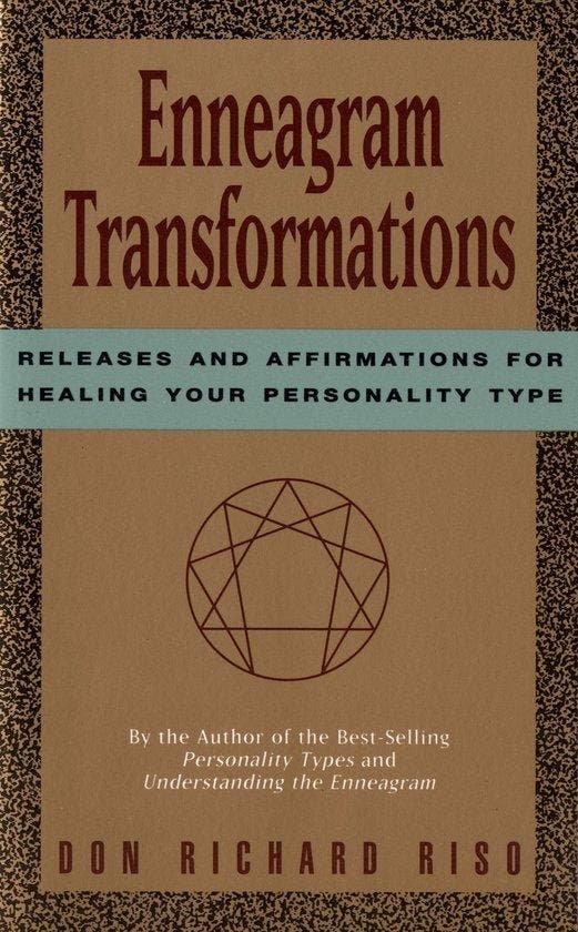 Enneagram Transformations 9780395657867 Don Richard Riso, Livres, Langue | Anglais, Envoi