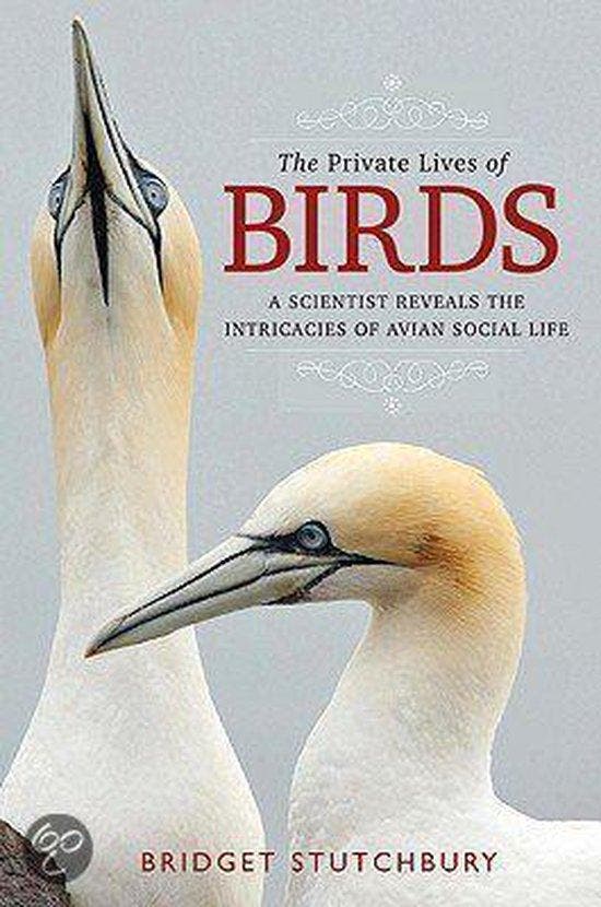 The Private Lives of Birds 9780802717467 Bridget Stutchbury, Boeken, Taal | Engels, Zo goed als nieuw, Verzenden