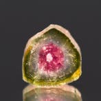 Schitterende Watermeloen-Toermalijn • 1,60 ct • Neonroze