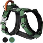 2dekans | Jake and Jacky Hondentuigje Kleine Hond -, Ophalen of Verzenden, Nieuw