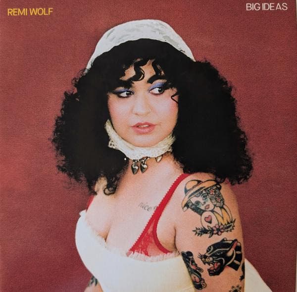 Remi Wolf - Big Ideas, Cd's en Dvd's, Vinyl | Pop, Gebruikt, Verzenden