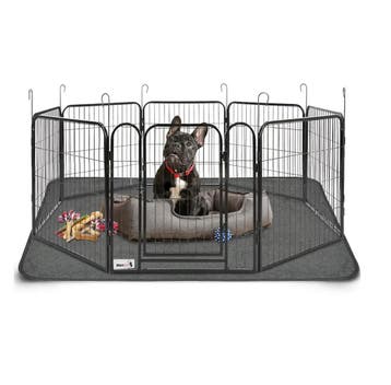 MaxxPet Hondenren Puppyren met 8 panelen - Staal - 60x60c..., Ophalen of Verzenden