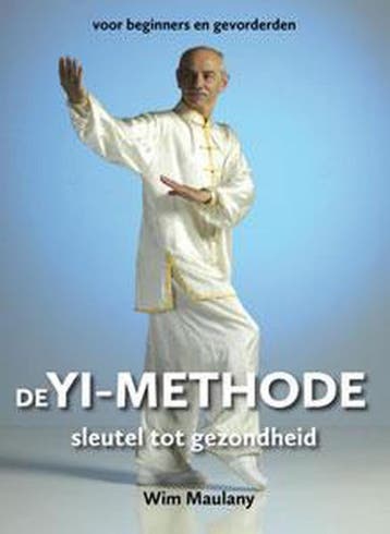 De YI-methode 9789462031302 Wim Maulany, Livres, Science, Verzenden, Wim Maulany