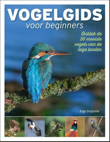 Vogelgids voor beginners 9789493201859 Inge Duijsens, Verzenden, Inge Duijsens