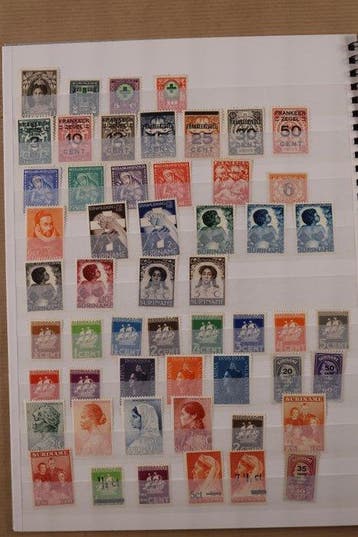 Suriname 1873/1975 - Collectie in 2 nieuwe stockboeken -, Gestempeld