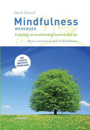 Mindfulness werkboek 9789401451758 David Dewulf, Boeken, Verzenden, Gelezen, David Dewulf
