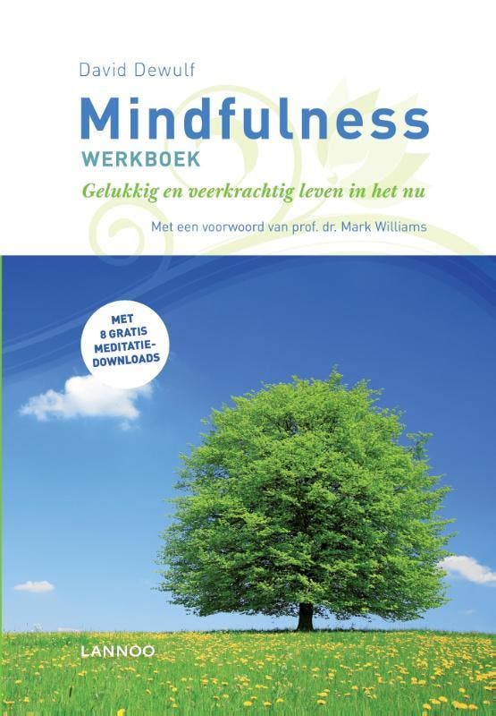 Mindfulness werkboek 9789401451758 David Dewulf, Boeken, Psychologie, Gelezen, Verzenden