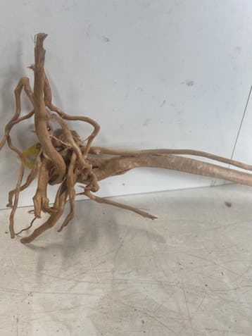 Boutique Stump Selected BS272- 70x32x18cm (Natuurlijk hout), Ophalen of Verzenden, Plant(en), Steen of Hout