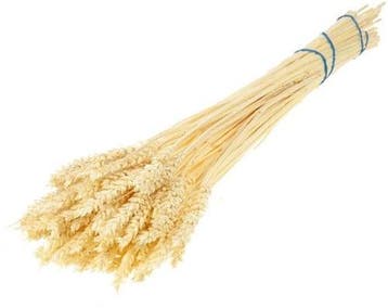 Tarwe droogbloemen Gebleekt per bundel, Nieuw