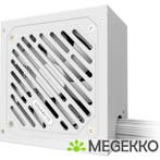 Gigabyte PSU GP-P550SS ICE, Computers en Software, Overige Computers en Software, Verzenden, Nieuw