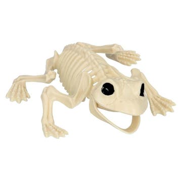 Halloween Kikker Skelet 17cm, Verzenden