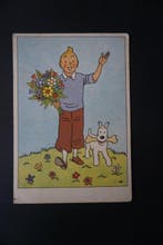 Tintin - 3 postkaart - Casterman - 1955, Nieuw