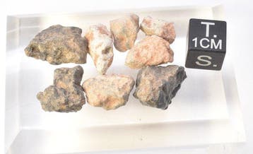 Maanmeteorit Bechar 007 - Algerije - 10.54 g