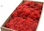 Rendiermos IJslandsmos Finlandsmos Rood 500 gram, Nieuw