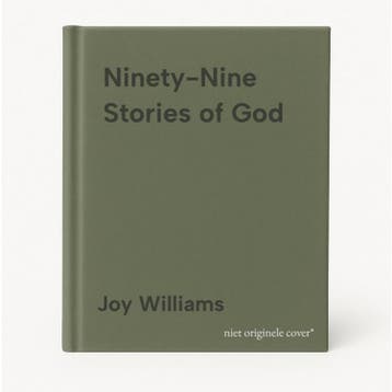 Ninety-Nine Stories of God 9781781258804 Joy Williams, Verzenden, Joy Williams