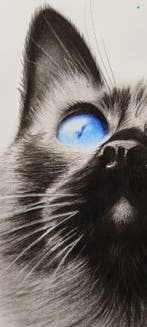 Artiste inconnu - Look at the sky