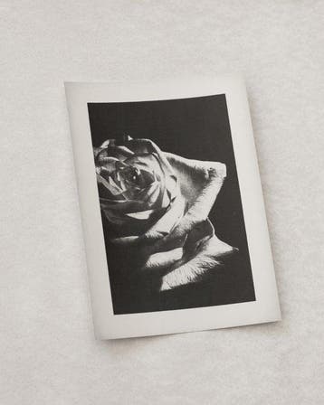 Anna Khavro - Nature (Rose) - Abstract - Gelatin silver
