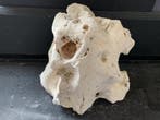 White Moonstone Selected MS36  8.5KG / 25x20x24cm, Animaux & Accessoires, Poissons | Aquariums & Accessoires, Ophalen of Verzenden