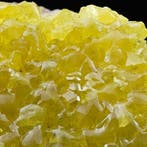 Rare soufre bolivien, de nombreux cristaux jaunes intenses, Collections