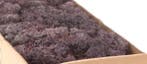 Rendiermos IJslandsmos Finlandsmos Lavendel 500 gram, Nieuw