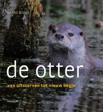 De Otter | Harrie Bosma | Nieuw, Verzenden, Nieuw, Harrie Bosma